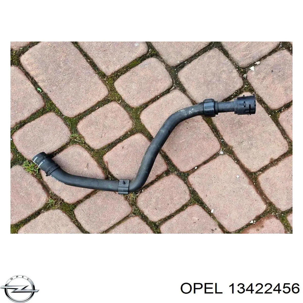 Купити 13422456 Opel Шланг/патрубок радіатора охолодження, верхній