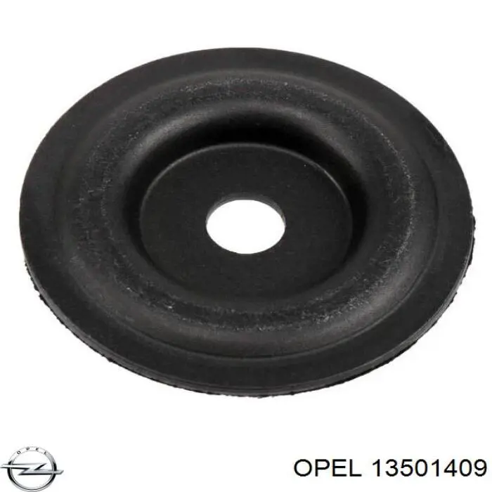  13501409 Opel