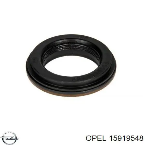 Сальник редуктора заднього моста Opel 15919548 ціна, від 24.18 USD