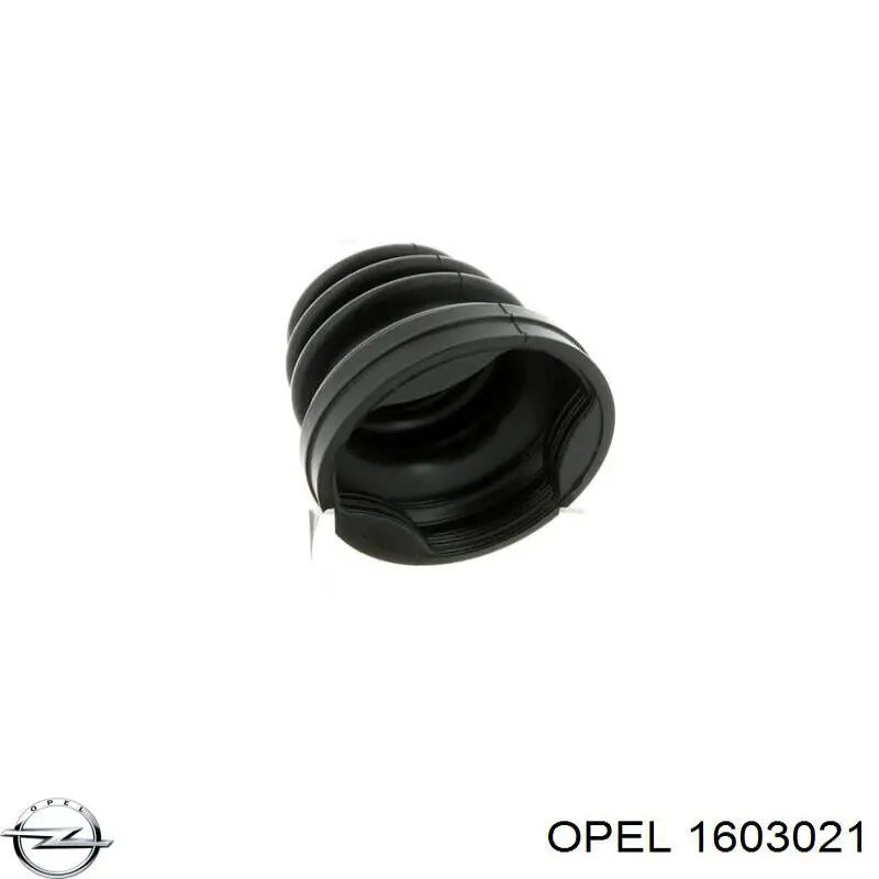 Купити 1603021 Opel Пильник гранати внутрішній, правий