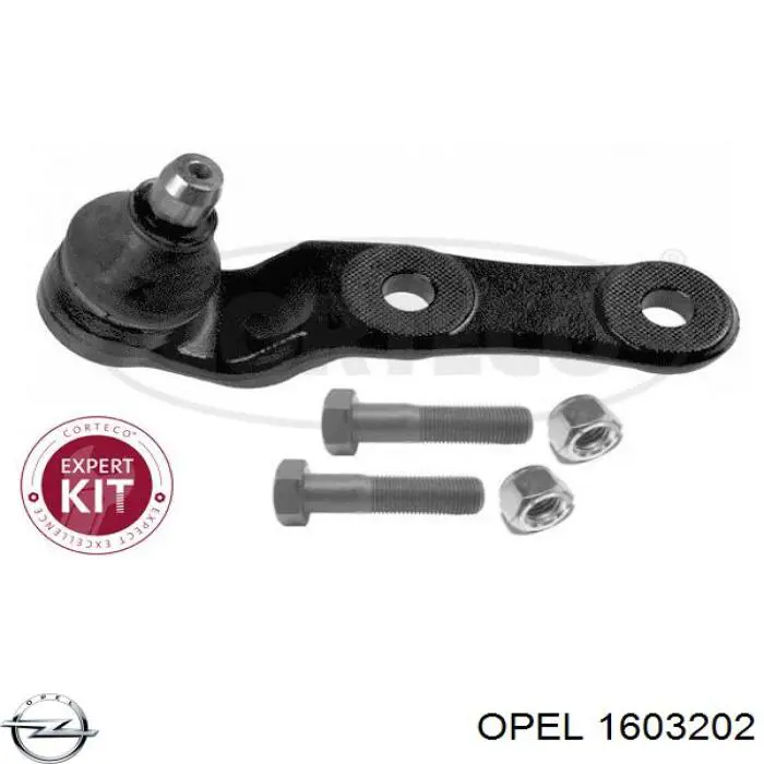 Купити 1603202 Opel Кульова опора, нижня