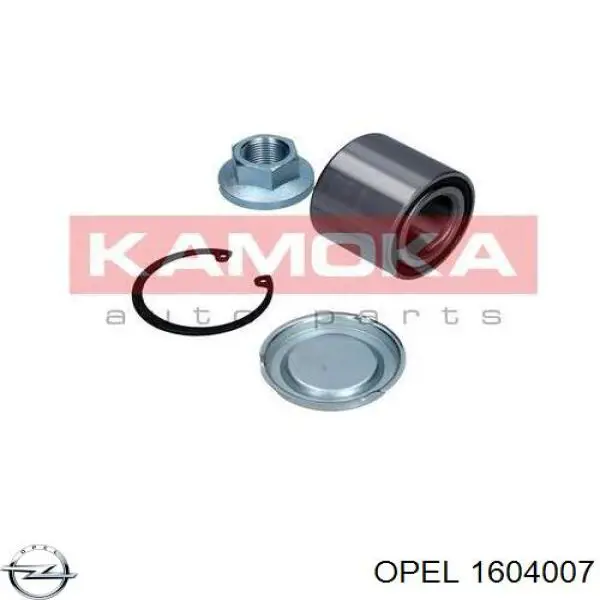 Задній підшипник Opel 1604007