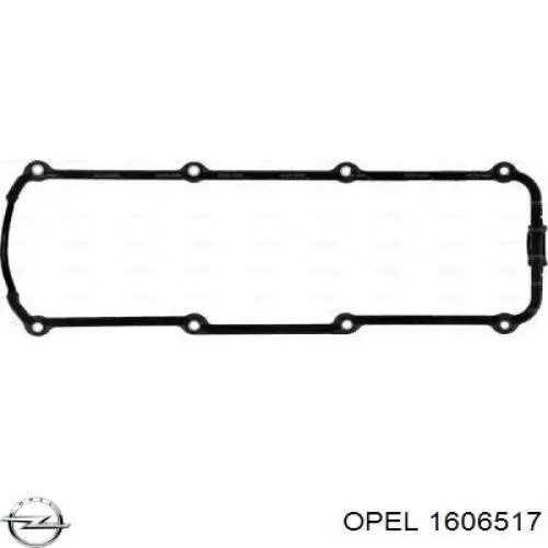 1606517 Opel комплект зчеплення (3 частини)