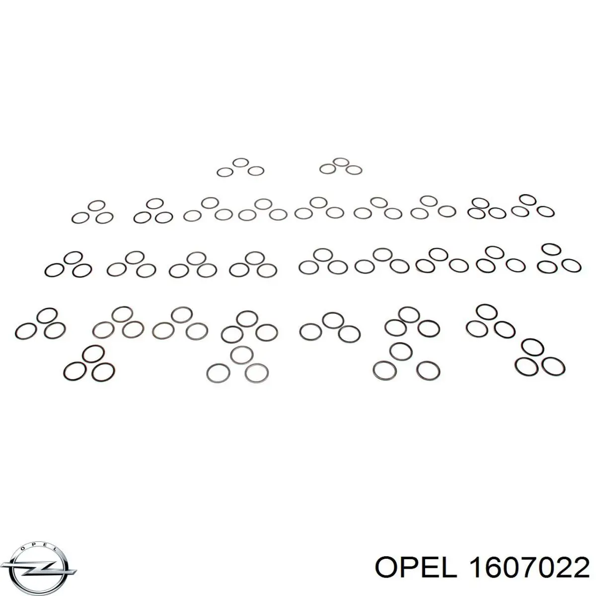 1607022 Opel 