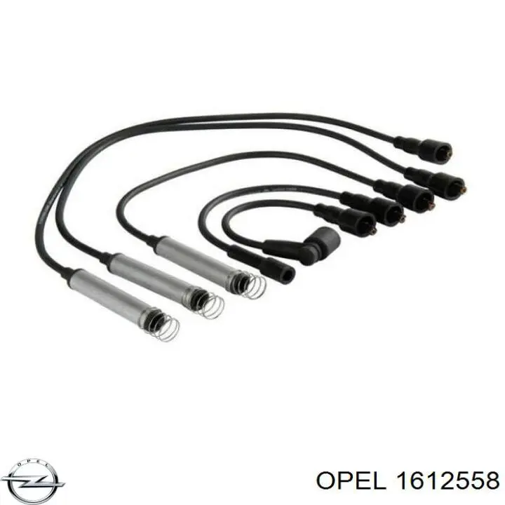 Купити 1612558 Opel Провід високовольтні, комплект