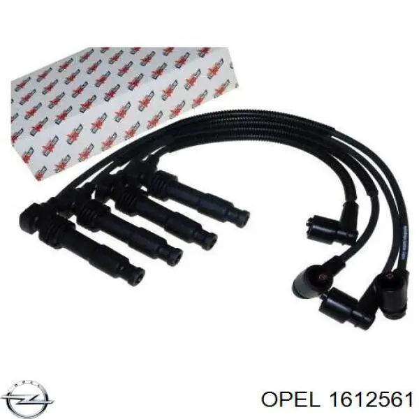 Купити 1612561 Opel Провід високовольтні, комплект