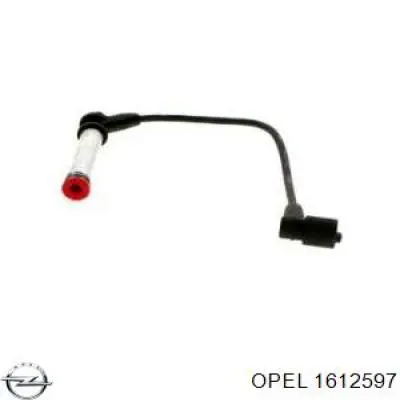 Купити 1612597 Opel Провід високовольтні, комплект