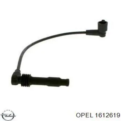 Купити 1612619 Opel Провід високовольтні, комплект