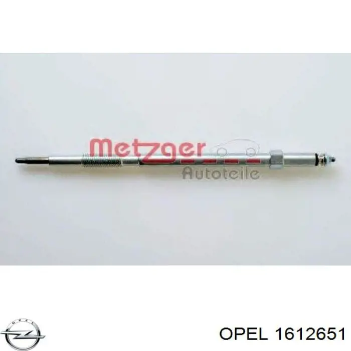 Високовольтні дроти 1612651 Opel