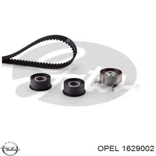 Комплект ГРМ Opel 1629002 ціна, від 81.17 USD