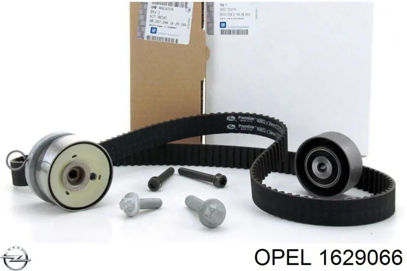 Комплект ГРМ Opel 1629066 ціна, від 160.81 USD