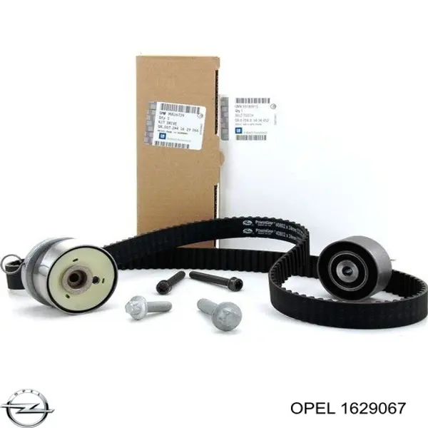 1629067 Opel комплект грм