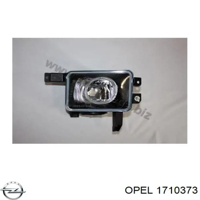 Купити 9196910 Opel Протитуманка права