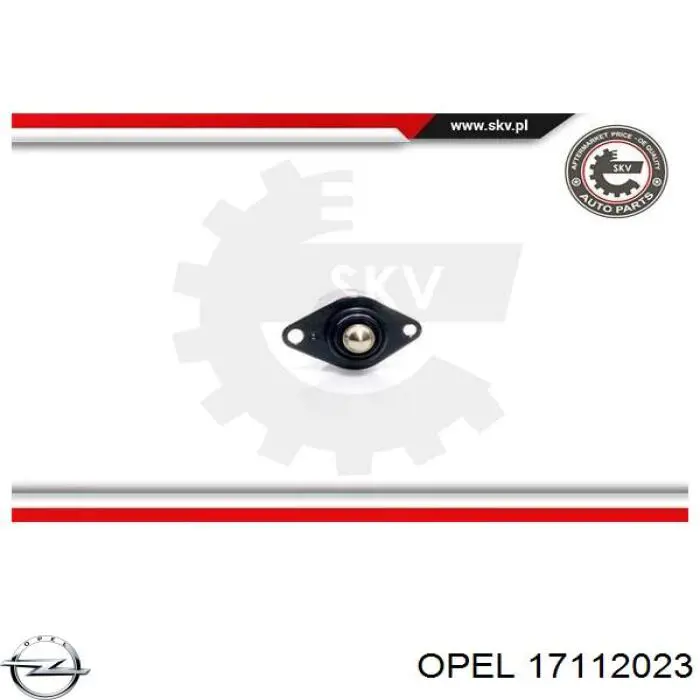 Регулятор холостого ходу Opel 17112023