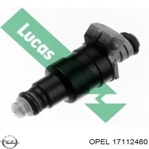 Купити 817422 Opel Форсунка дизельна в зборі, розпилювач + тримач