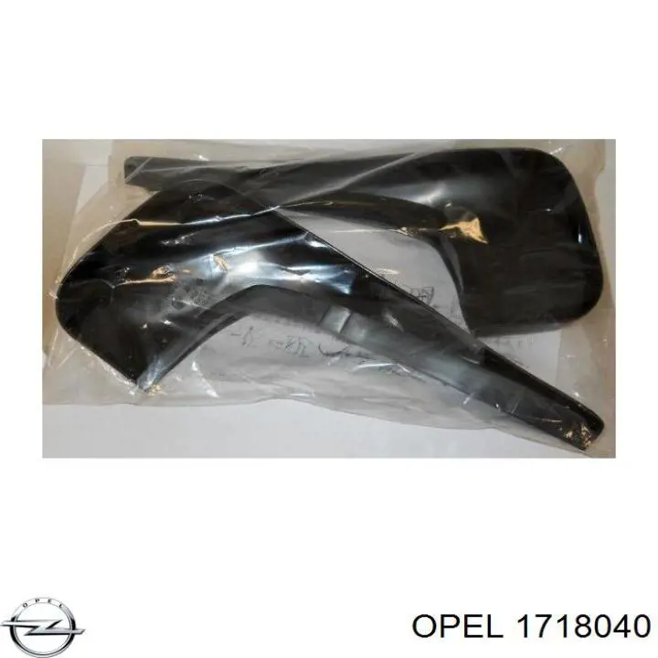Купити Бризковики задні Opel Astra G F48, F08