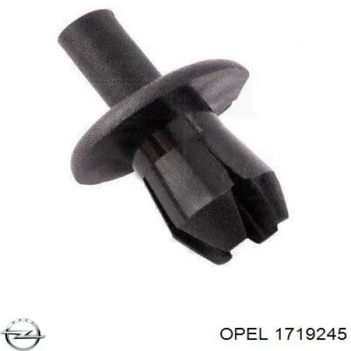 1719245 Opel пістон (кліп кріплення підкрилки переднього крила)