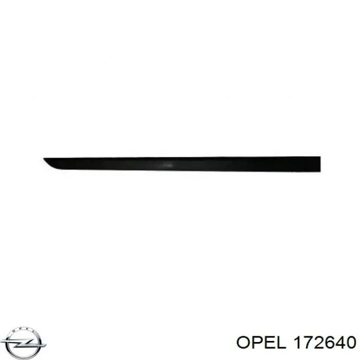 24461097 Opel молдинг передньої лівої двері