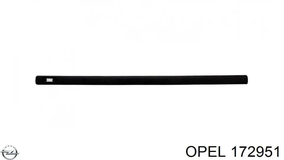 172951 Opel Молдинг передніх лівих дверей