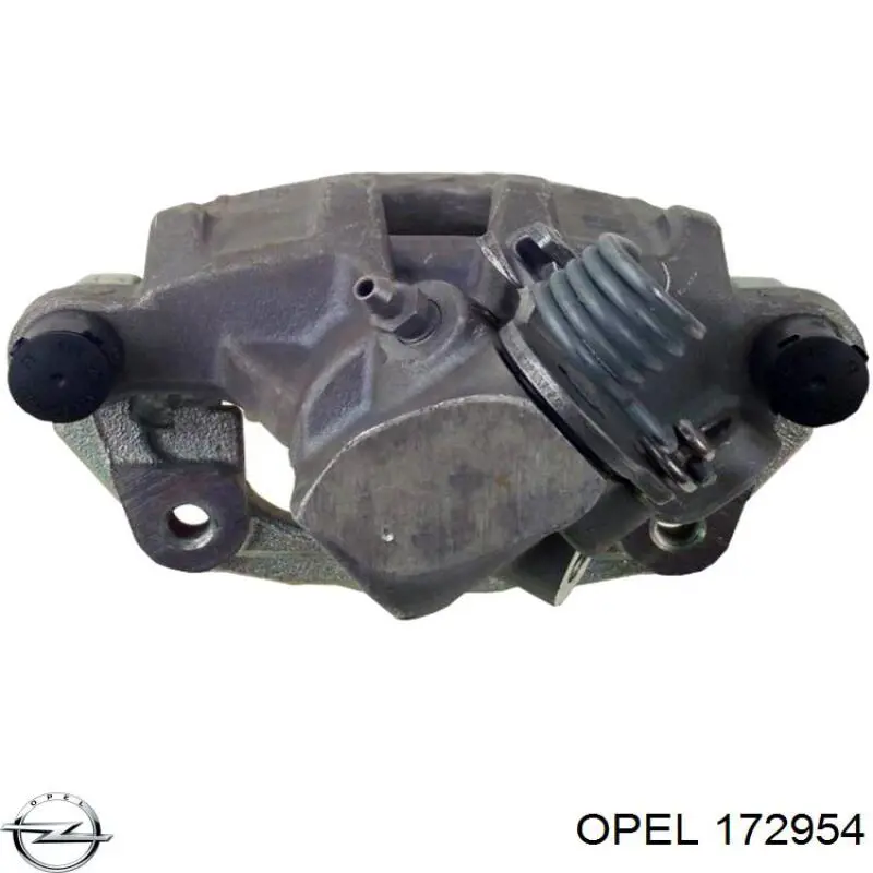 Купити 172954 Opel Молдинг передньої правої двері