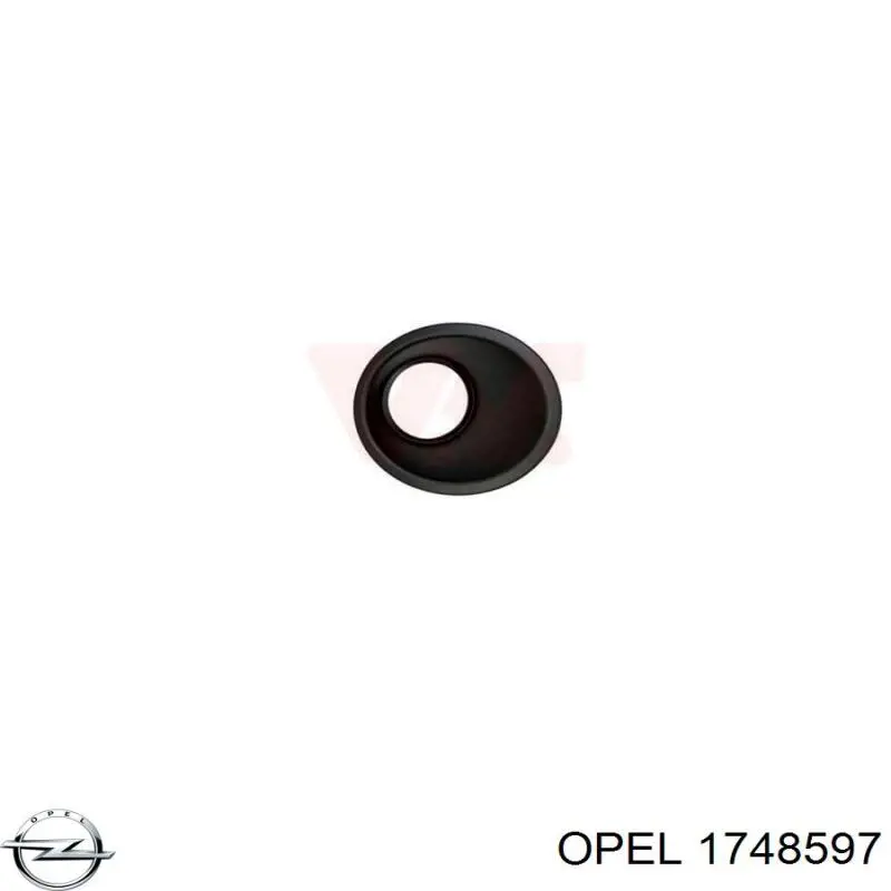 24437861 Opel 