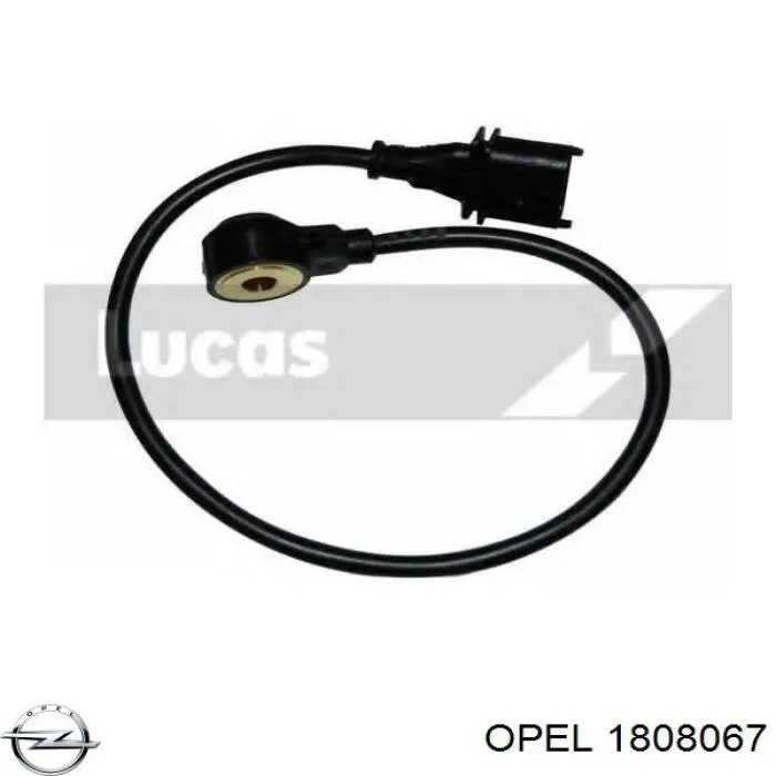 Купити 1808067 Opel Електродвигуни (електродвигун обігрівача) або розетка причепа штепсельная