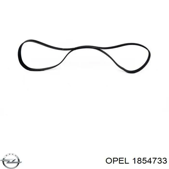 Клиновий ремінь Opel 1854733 ціна, від 18.11 USD