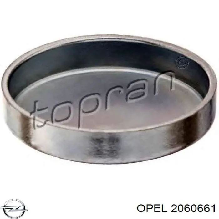 Заглушка ГБЦ/блоку циліндрів Opel 2060661 ціна, від 0.82 USD