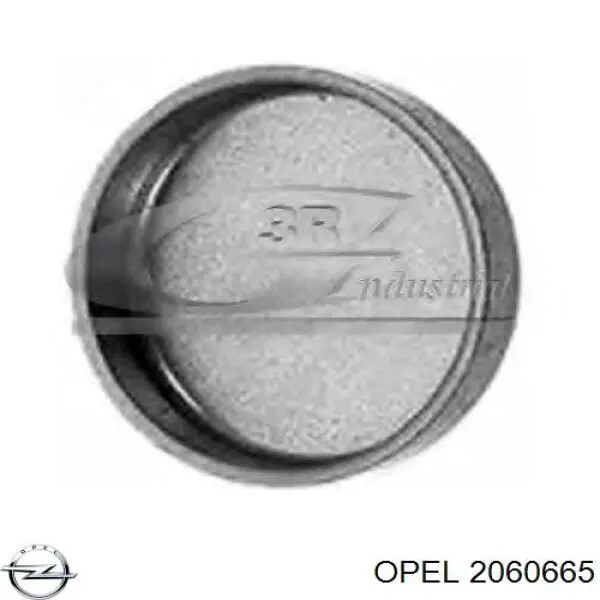 Заглушка ГБЦ/блоку циліндрів Opel 2060665 ціна, від 0.70 USD