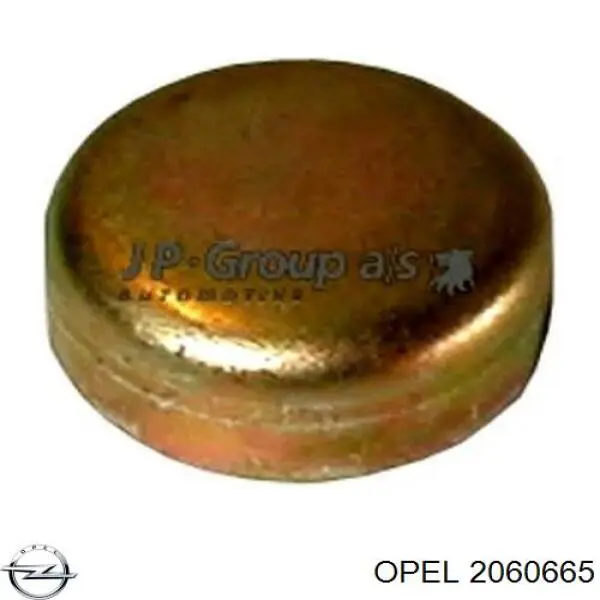 2060665 Opel заглушка гбц/блоку циліндрів