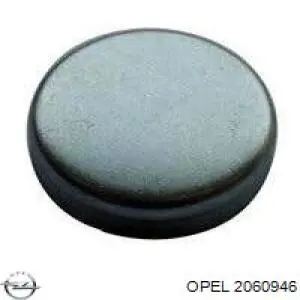 Купити 2060946 Opel Заглушка блоку циліндрів