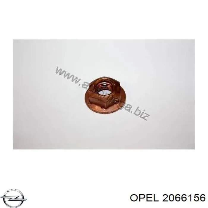 2066156 Opel гайка кріплення приймальної труби глушника (штанів)