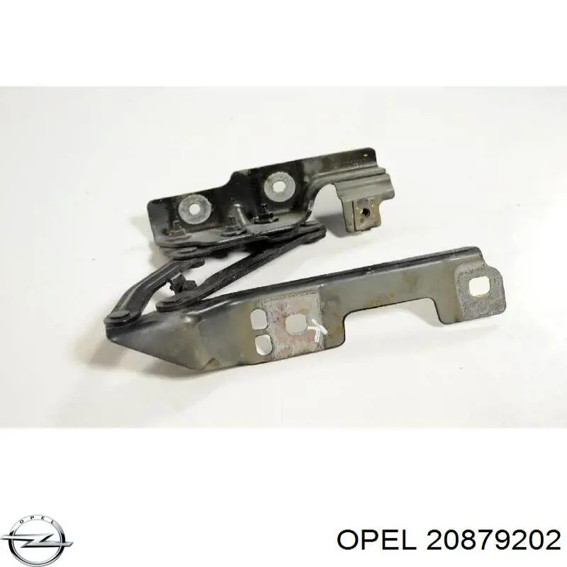 1160058 Opel Завіса капота ліва