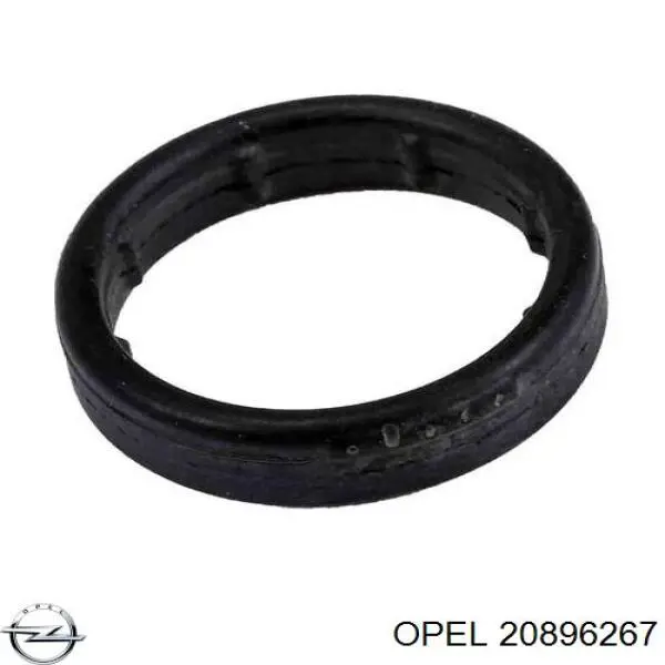 Шланг/патрубок радіатора охолодження, нижній Opel 20896267