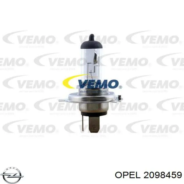 Купити 2098459 Opel Лампочка галогенна