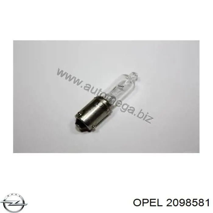 Купити 93169042 General Motors Лампочки