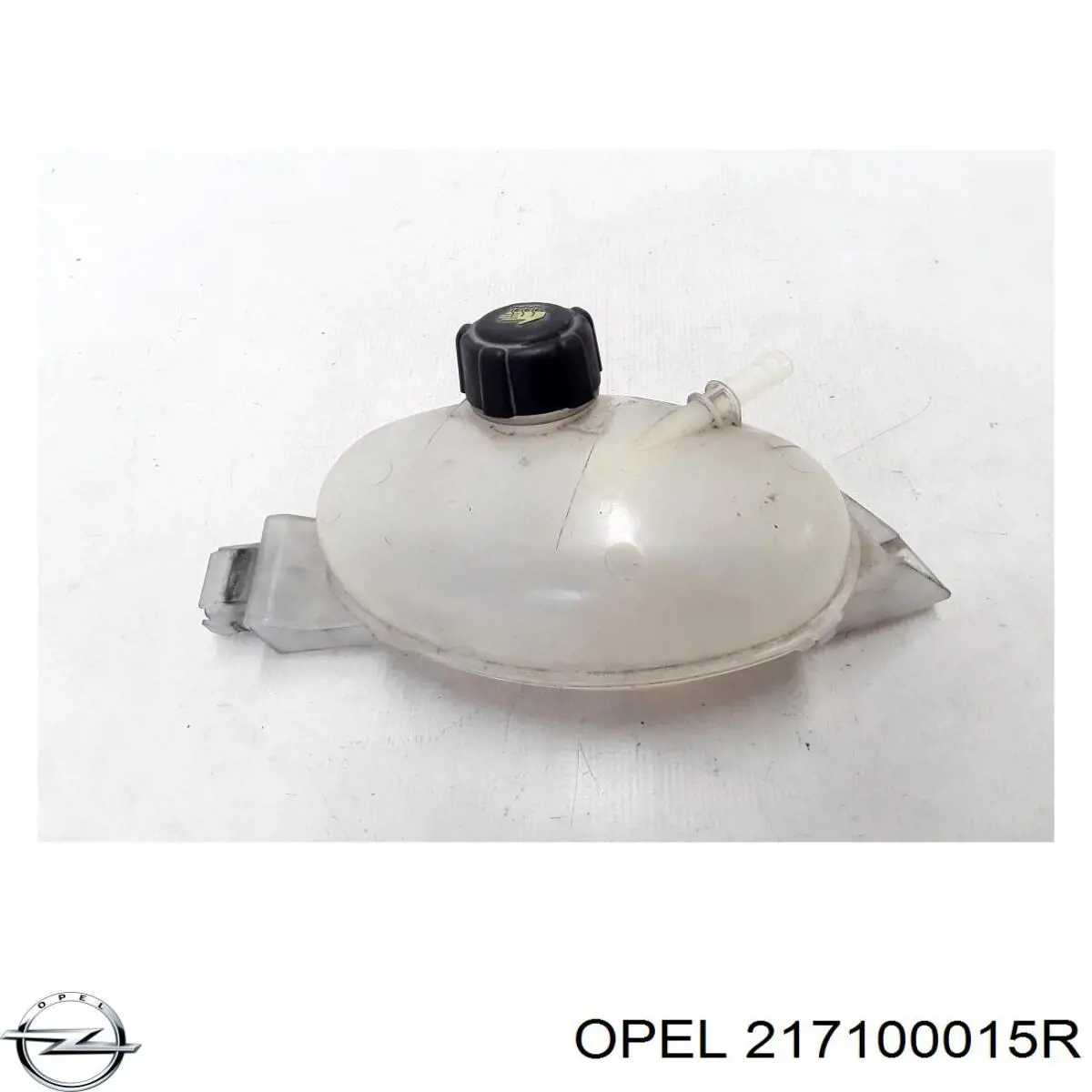 Бачок розширювальний Renault (RVI) 4420573