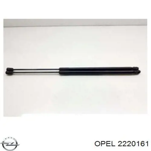  Opel 13167984 ціна, від 51.04 USD