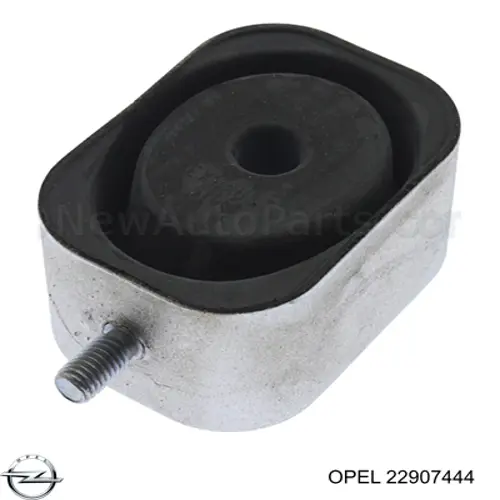 22907444 Opel 