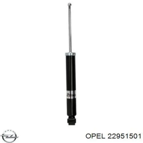 22951501 Opel 