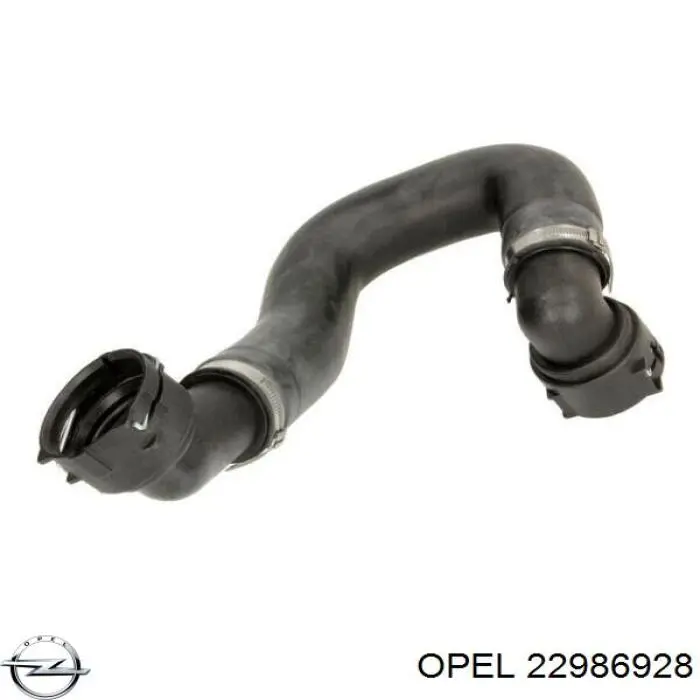 Купити 22986928 Opel Шланг/патрубок радіатора охолодження, нижній