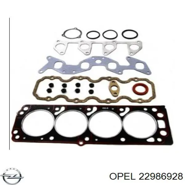 22986928 Opel Шланг/патрубок радіатора охолодження, нижній