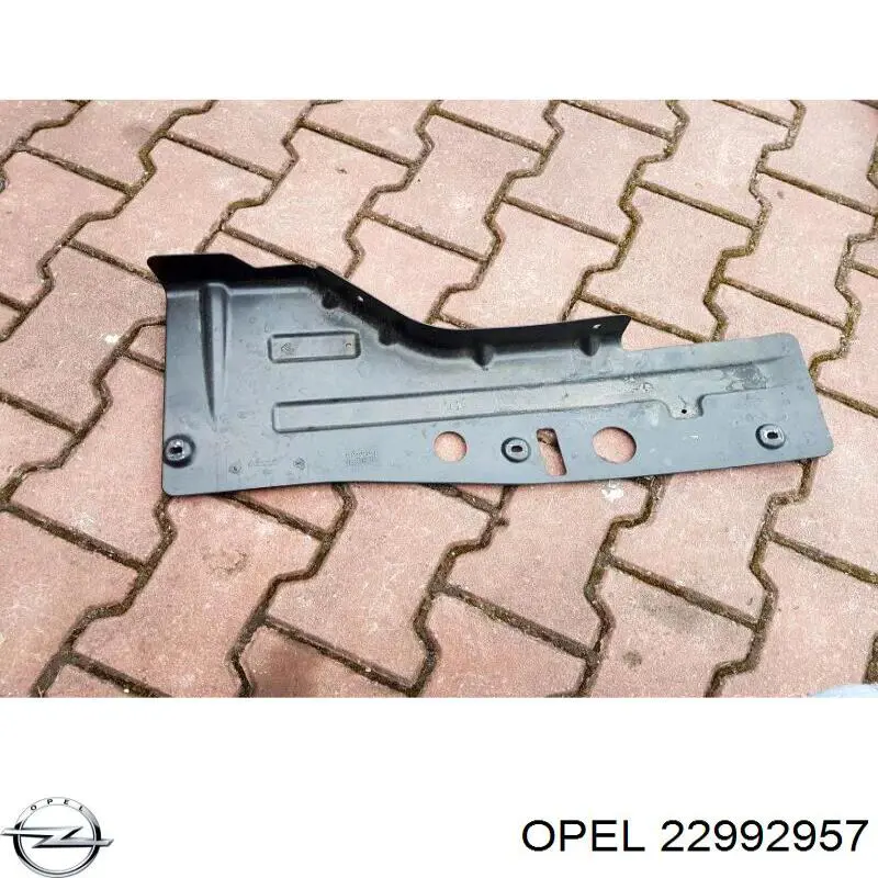 22992957 Opel Права подушка мотора