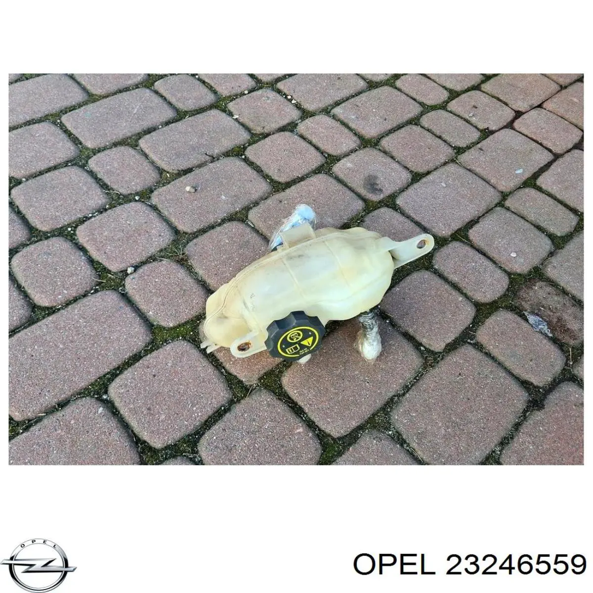 Купити 23246559 Opel Водяний бачок системи охолодження