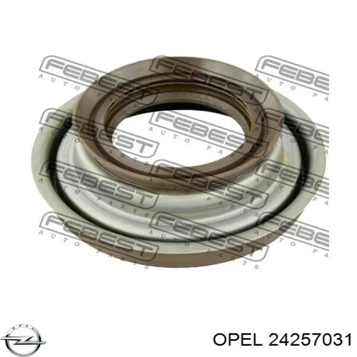 Купити 24257031 General Motors 