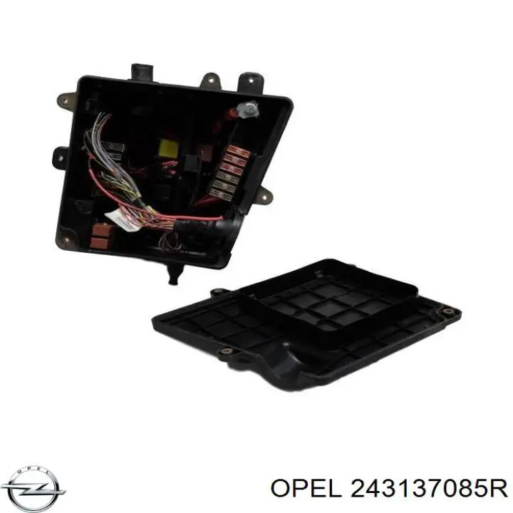 243137085R Renault (RVI) 