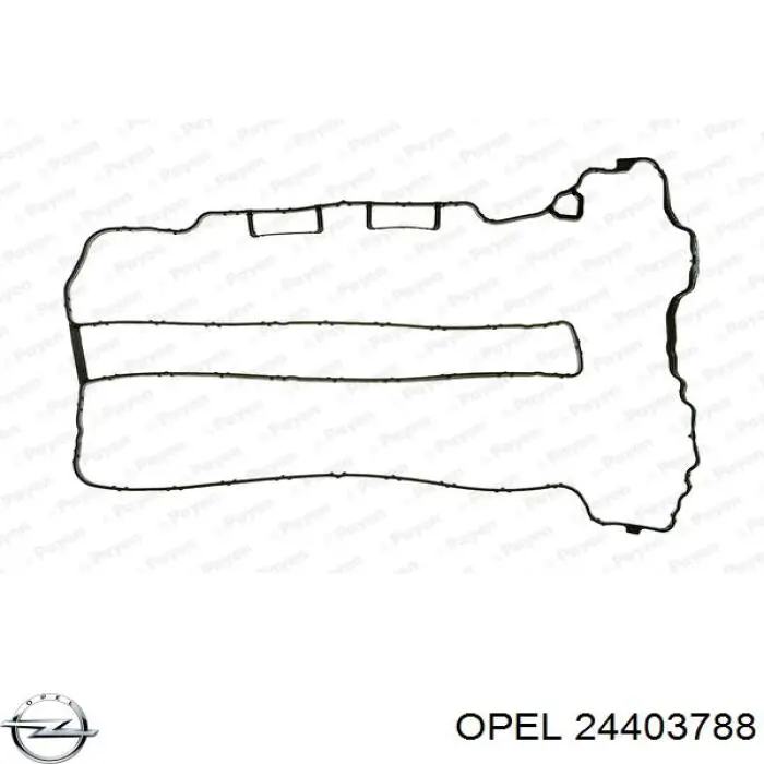 24403788 Opel прокладка клапанної кришки двигуна