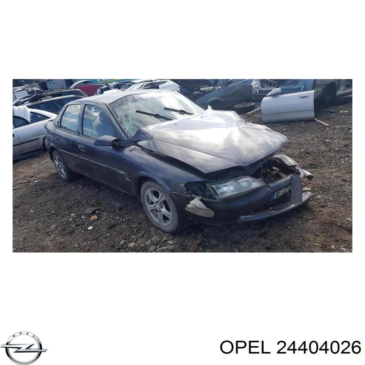 Дисплей бортового комп'ютера Opel 24404026 ціна, від 19.00 USD