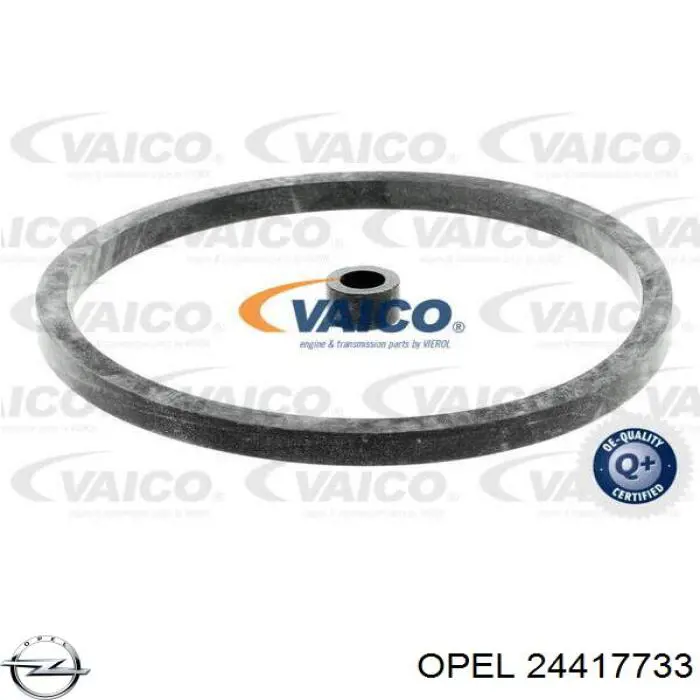 Паливний фільтр 24417733 Opel