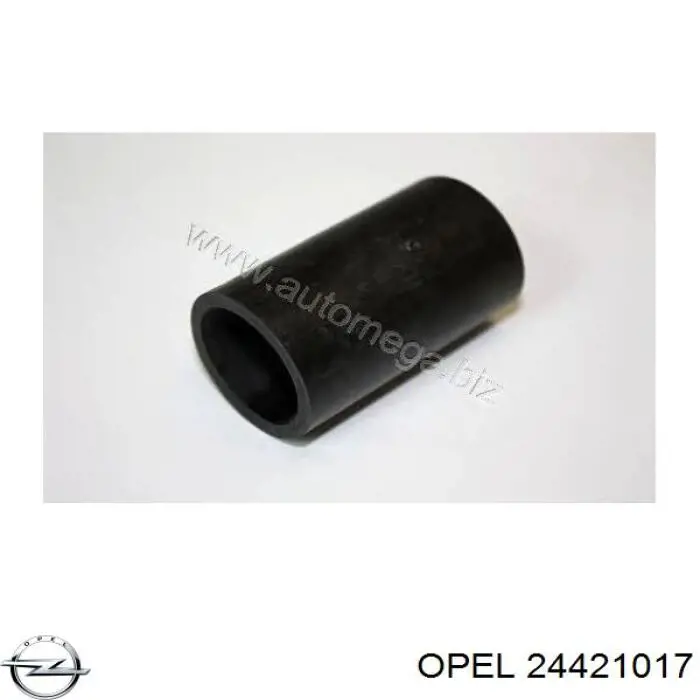 Купити 24421017 Opel Шланг для видалення повітря